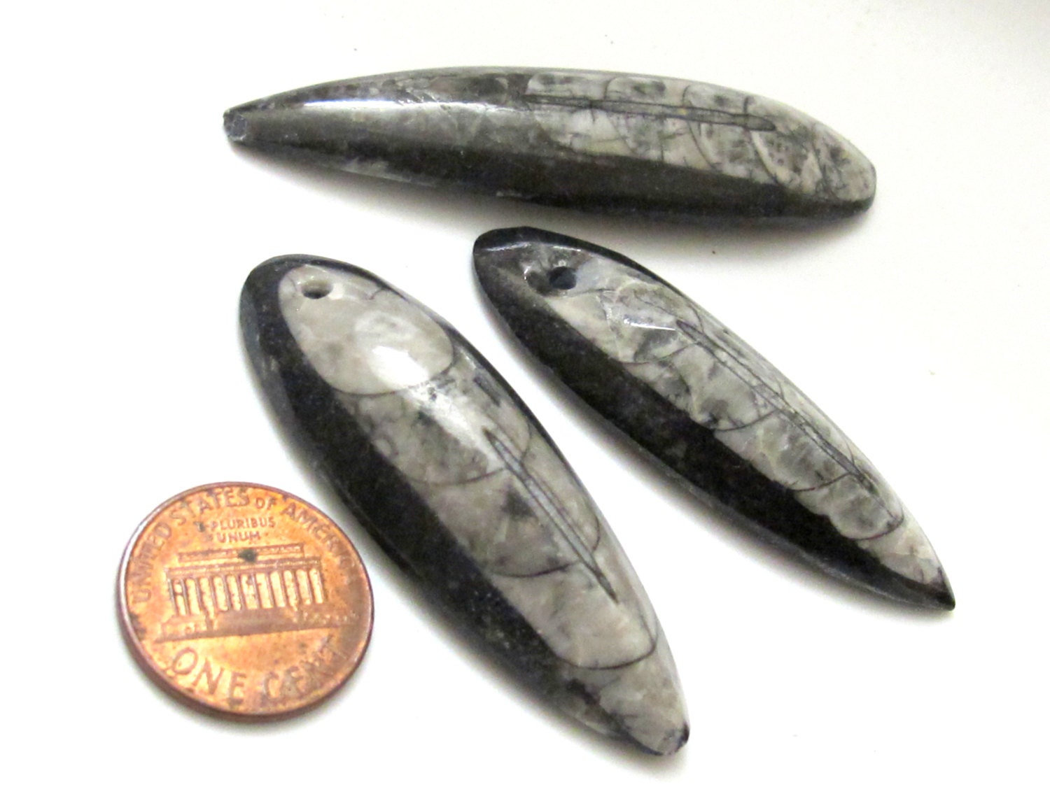Reserved - 2 pieces - B and D - Small Medium size Drilled orthoceras fossil pendant - PB081A