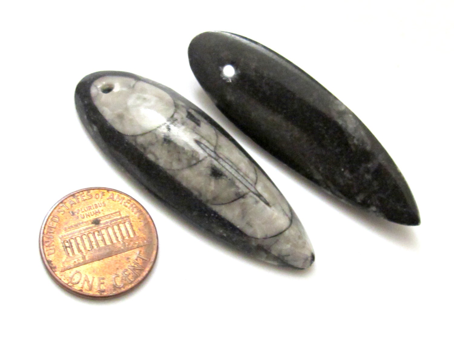 Reserved - 2 pieces - B and D - Small Medium size Drilled orthoceras fossil pendant - PB081A
