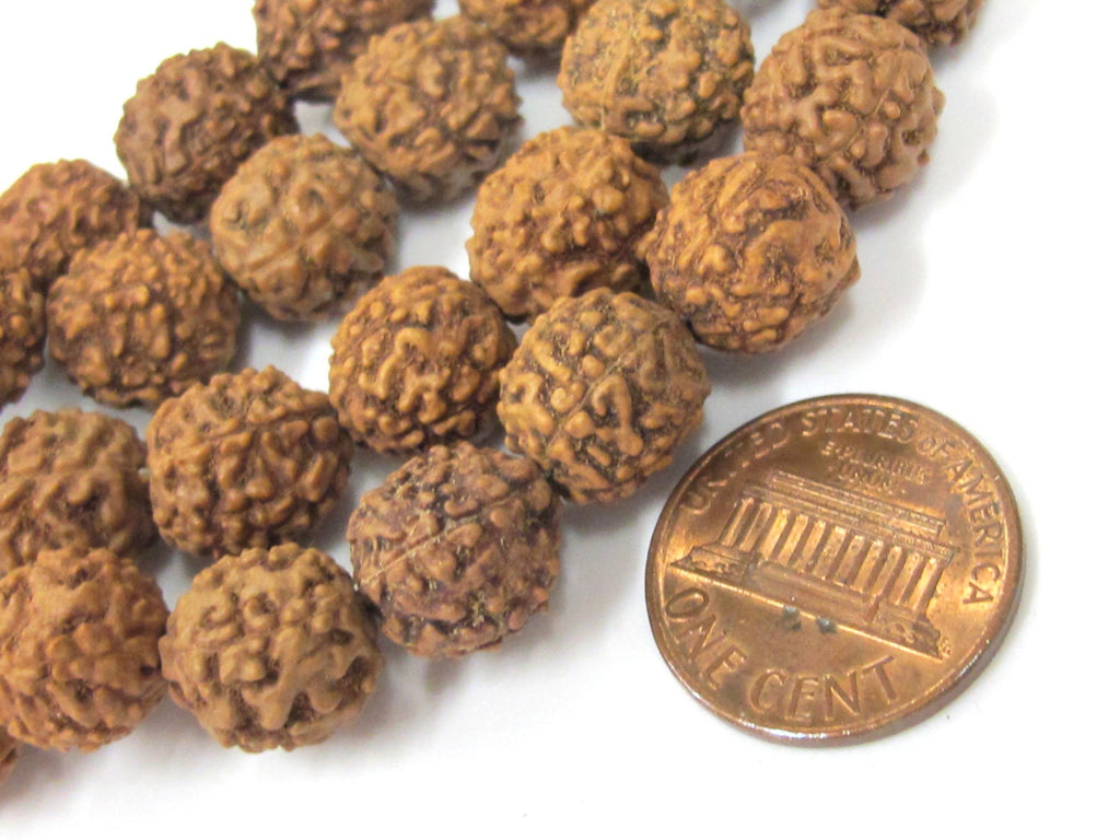 Rudraksha beads -108 beads-Natural Rudraksha seed beads from Nepal 9 - 10 mm - tibetan mala supplies Nepal rudraksha beads ML072A