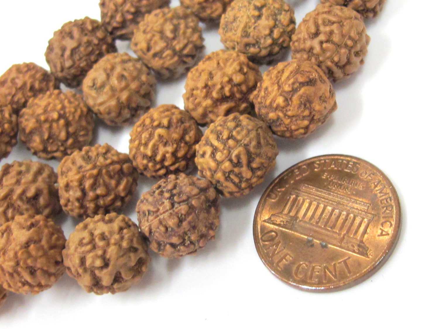 Rudraksha beads -108 beads-Natural Rudraksha seed beads from Nepal 9 - 10 mm - tibetan mala supplies Nepal rudraksha beads ML072A