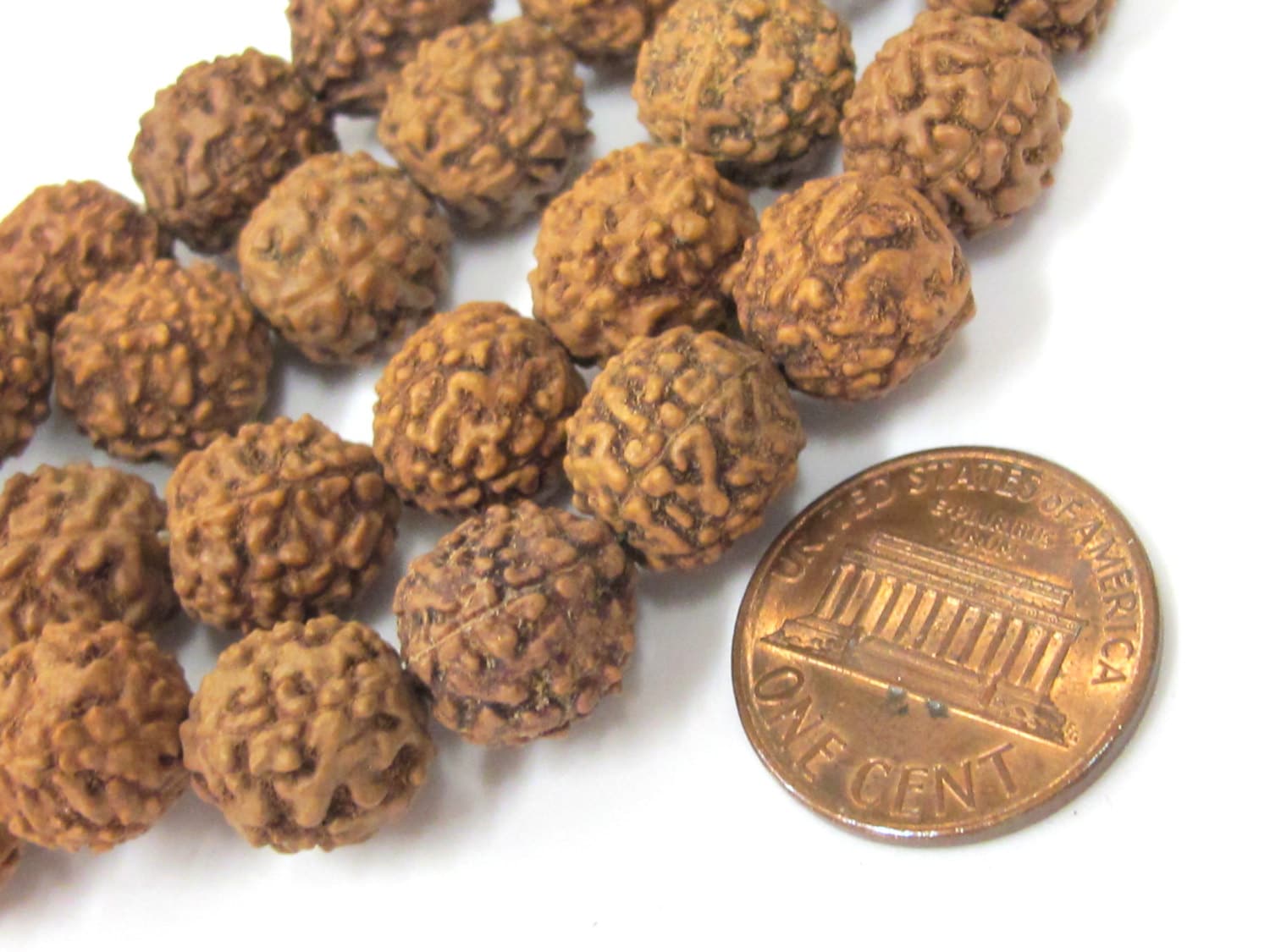 Rudraksha beads -108 beads-Natural Rudraksha seed beads from Nepal 9 - 10 mm - tibetan mala supplies Nepal rudraksha beads ML072A