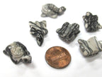 2 beads - Carved Turtle charm beads Jasper gemstone beads - GM403
