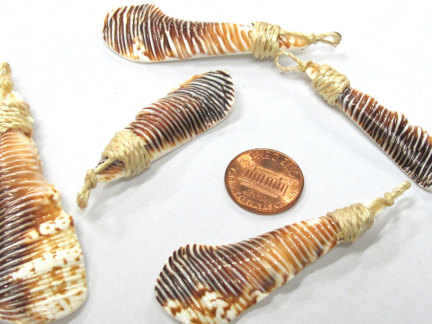 1 pendant - Sliced Cut shell brown striped paw shape tribal pendant - SP056