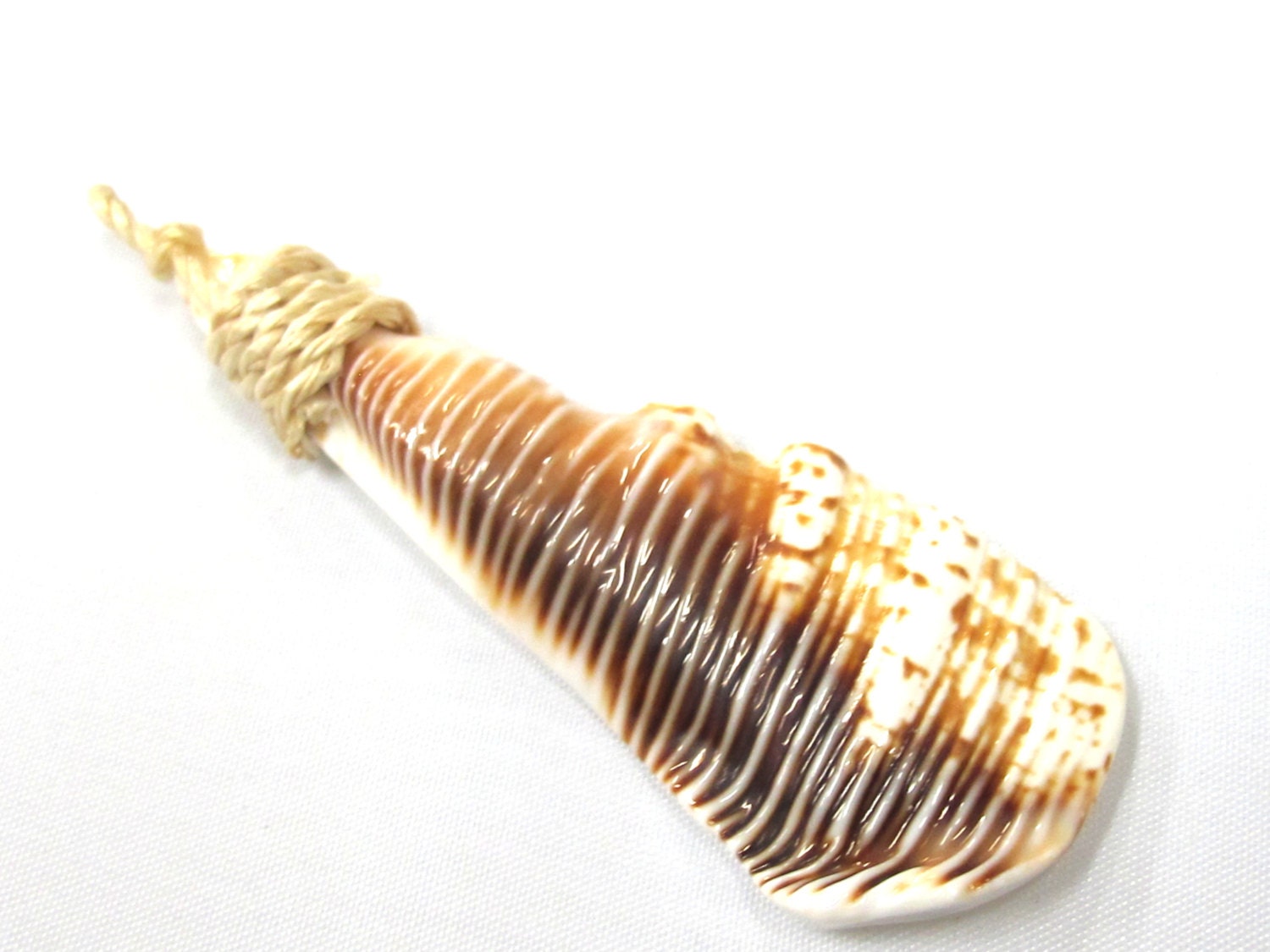 1 pendant - Sliced Cut shell brown striped paw shape tribal pendant - SP056