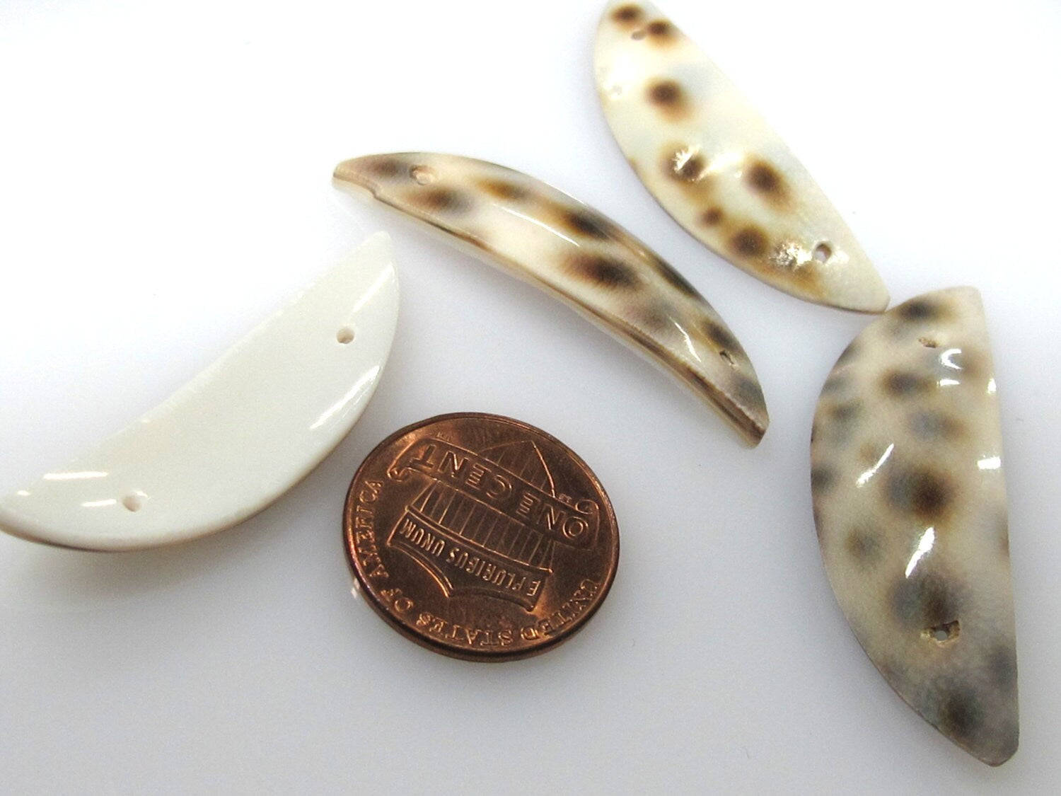 2 pieces - cowrie shell cut half moon shape connector pendants - SP004A
