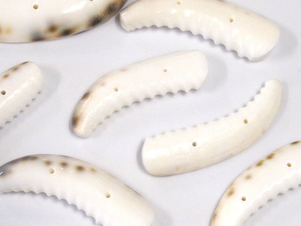 2 pcs - Carved cowrie tooth shape tribal 2 hole button pendant bead - SP060