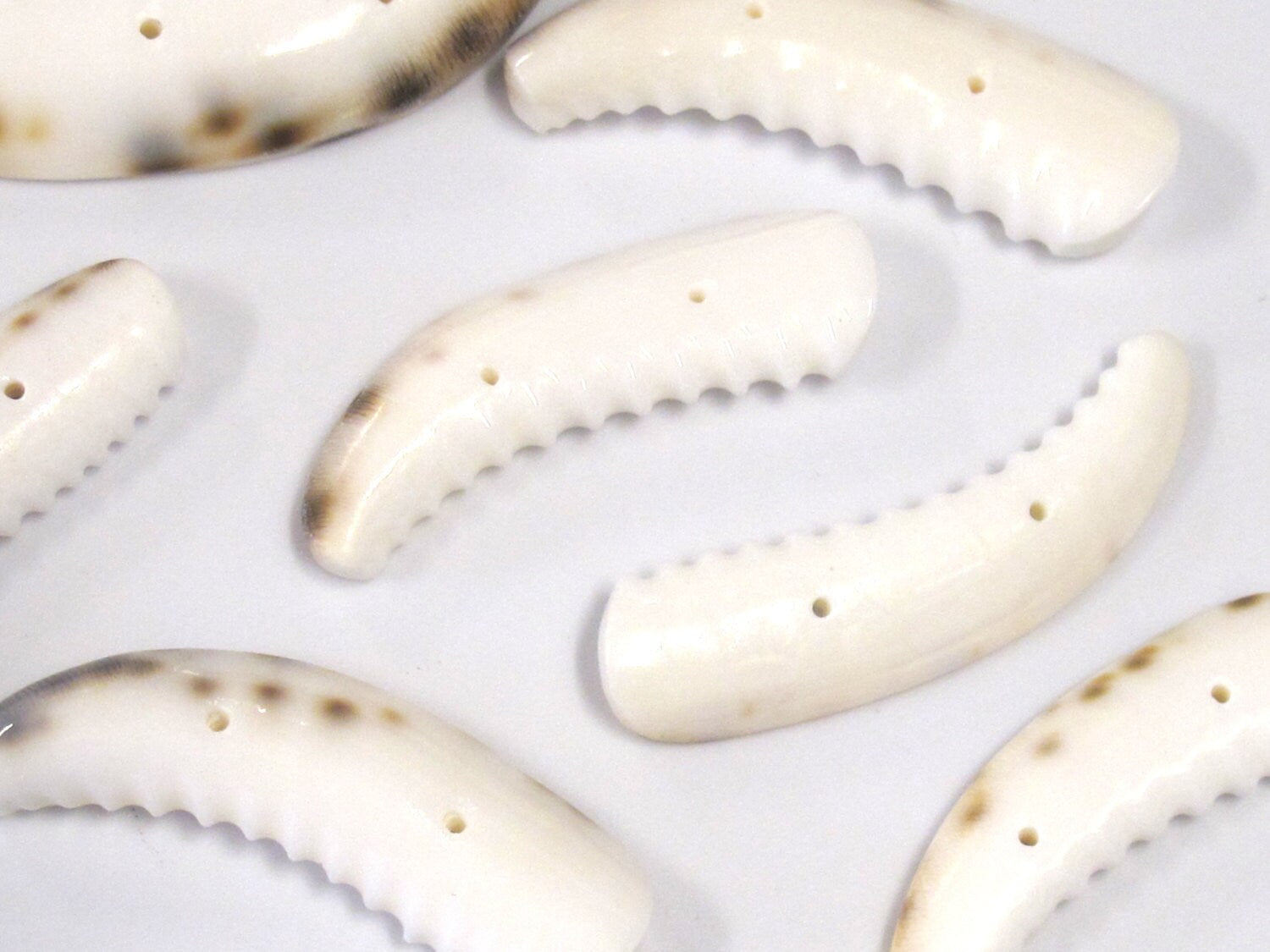 2 pcs - Carved cowrie tooth shape tribal 2 hole button pendant bead - SP060