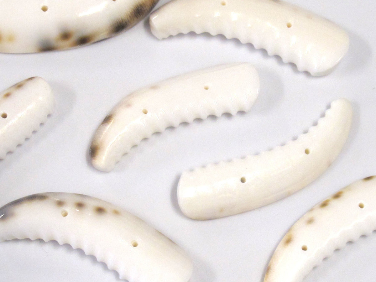 2 pcs - Carved cowrie tooth shape tribal 2 hole button pendant bead - SP060