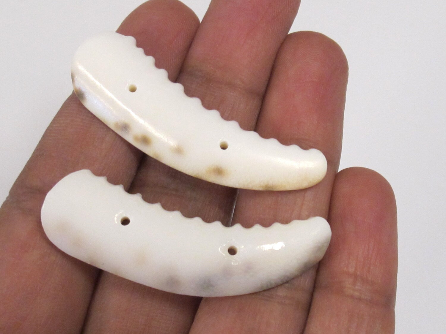 2 pcs - Carved cowrie tooth shape tribal 2 hole button pendant bead - SP060