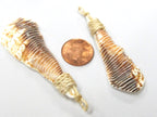 1 pendant - Sliced Cut shell brown striped paw shape tribal pendant - SP056