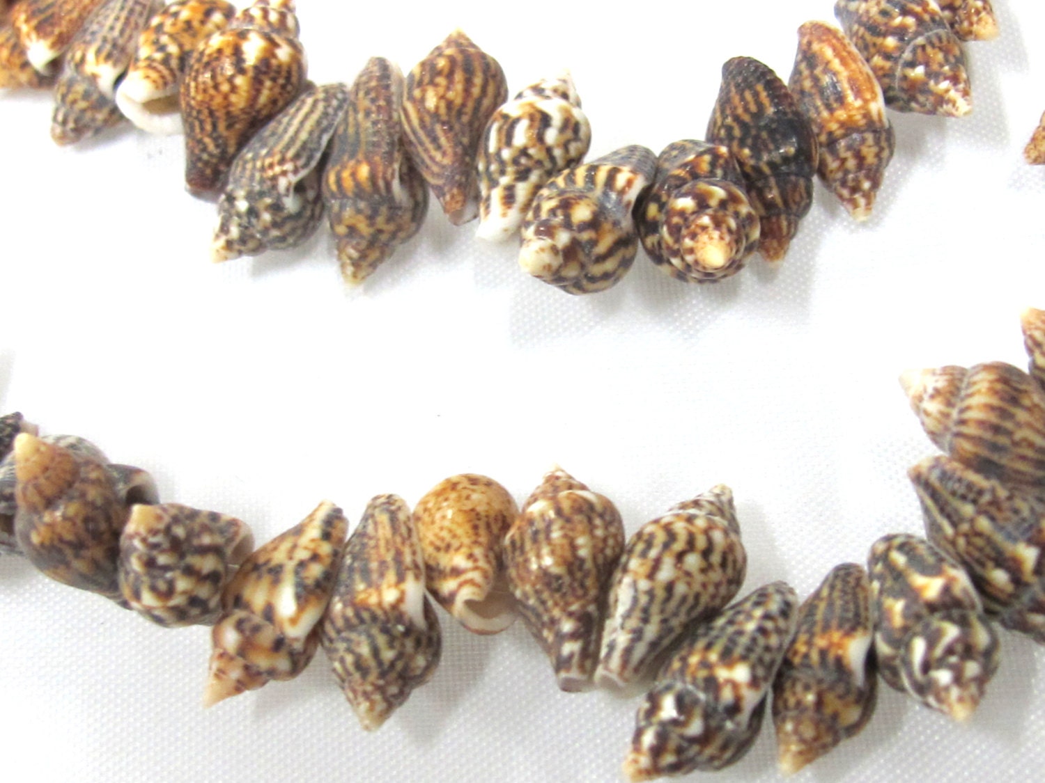 1 full strand - Drilled natural small nassa shell beads - FULL 15 inches strand - SP057