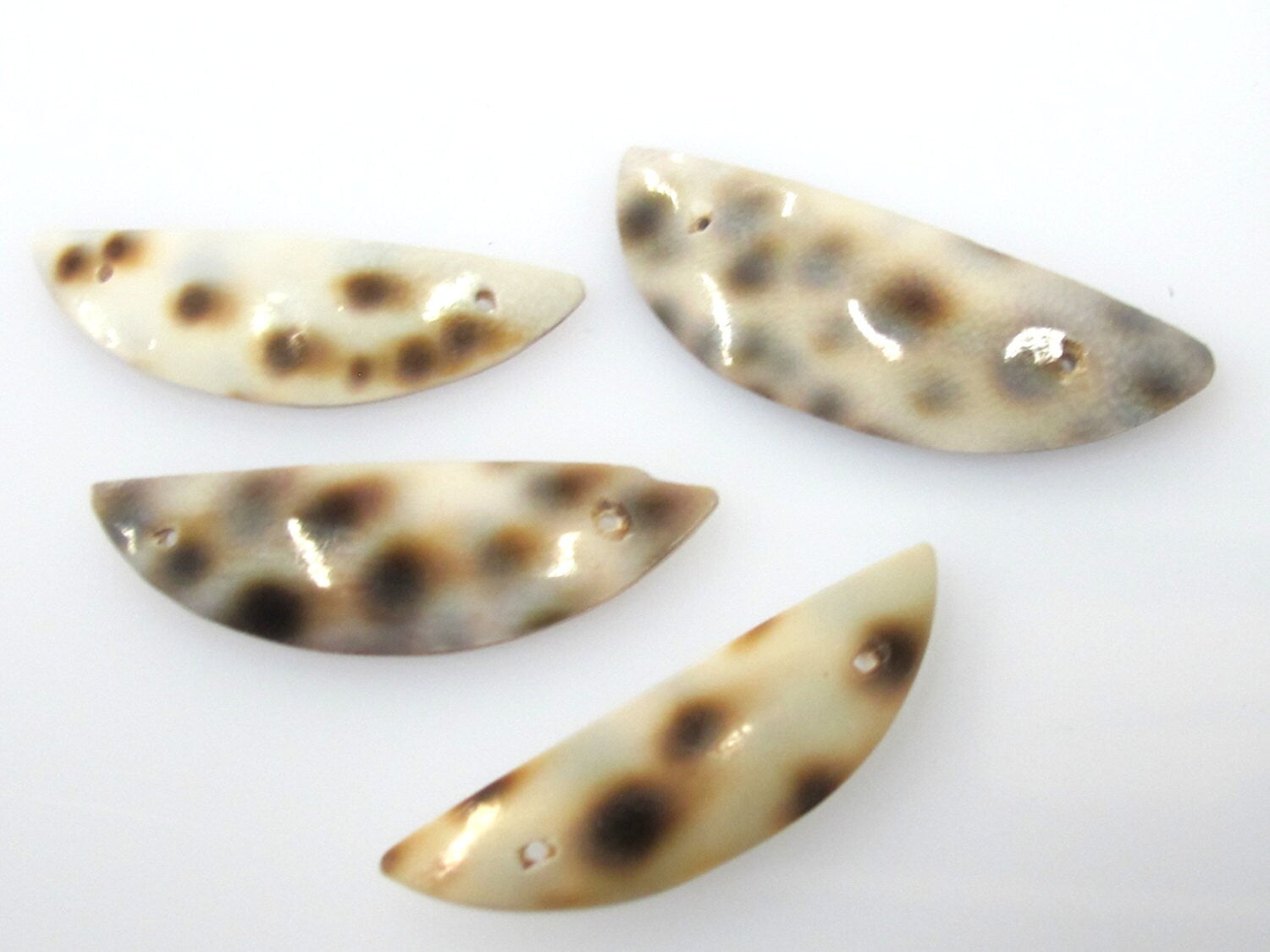 2 pieces - cowrie shell cut half moon shape connector pendants - SP004A