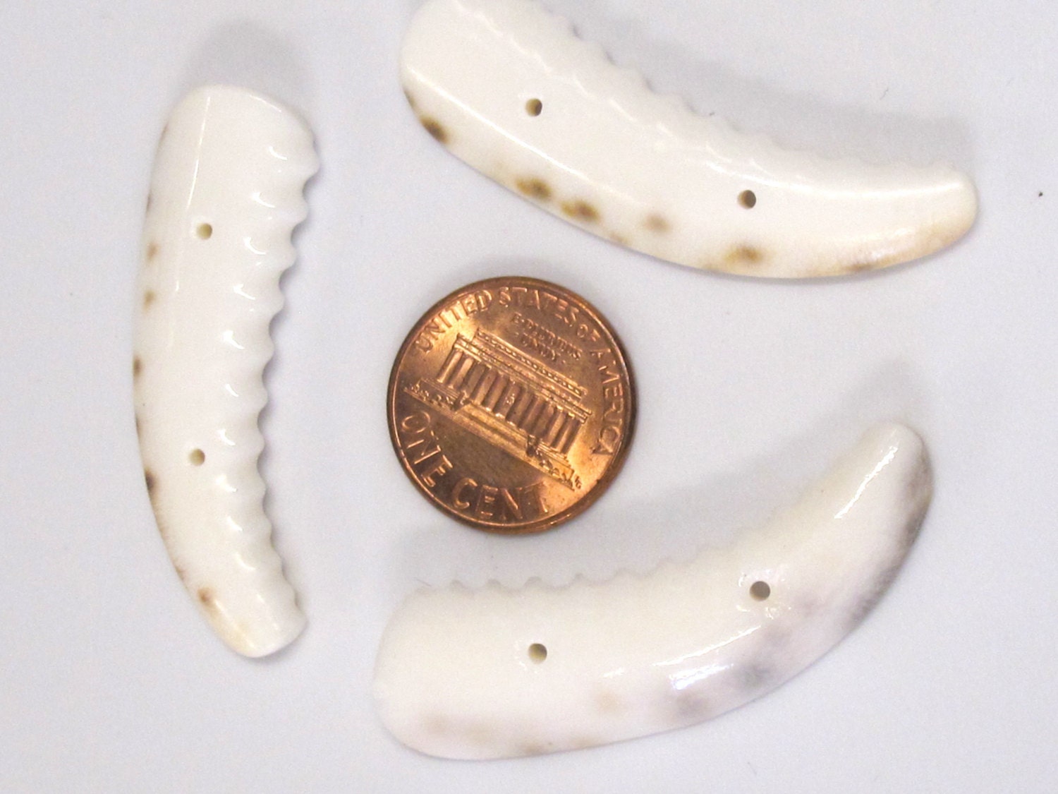 2 pcs - Carved cowrie tooth shape tribal 2 hole button pendant bead - SP060