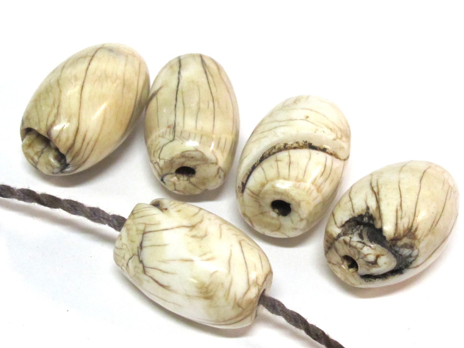 1 Bead - Large size Tibetan naga conch shell beads - CH067