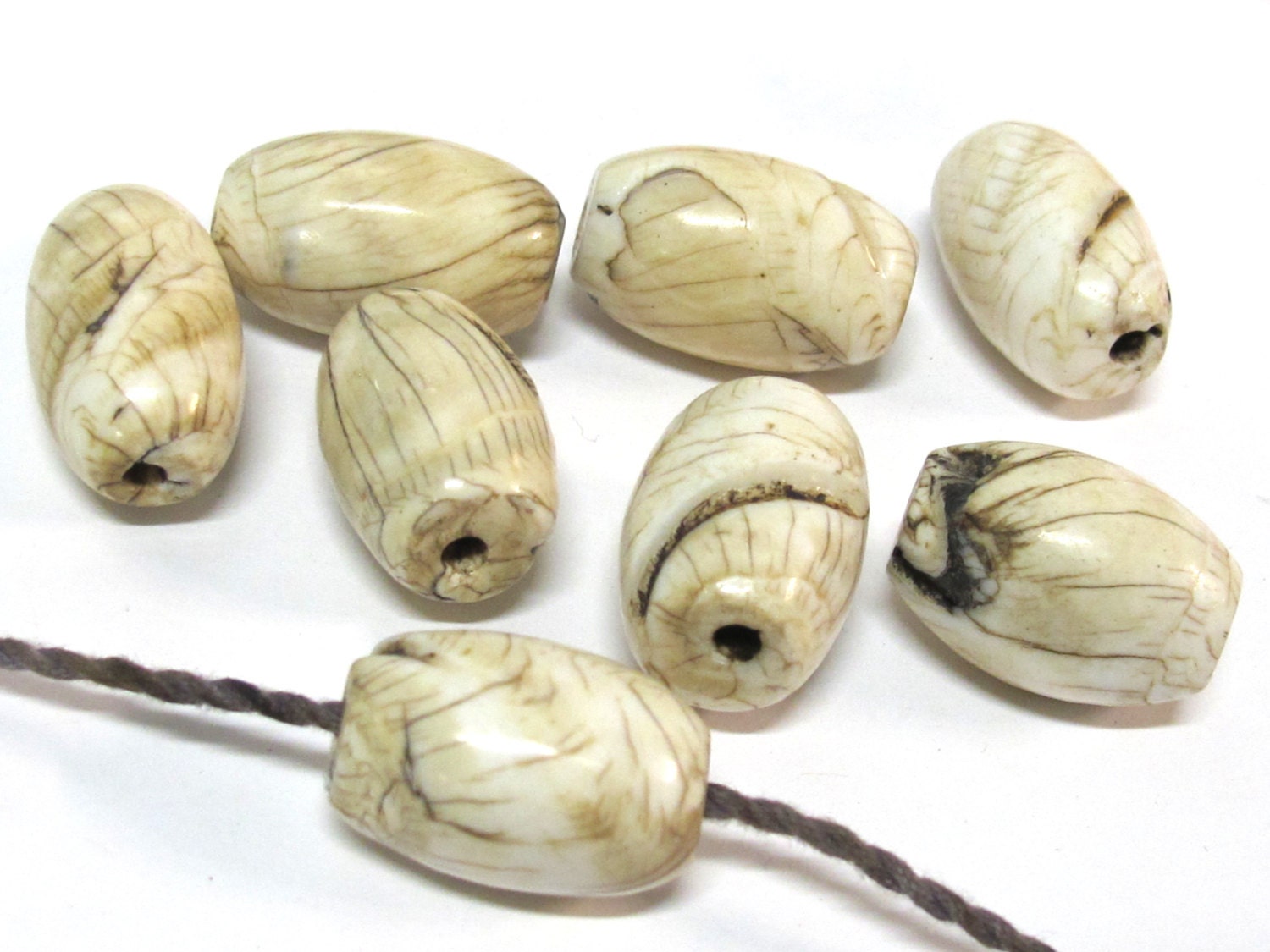 1 Bead - Large size Tibetan naga conch shell beads - CH067