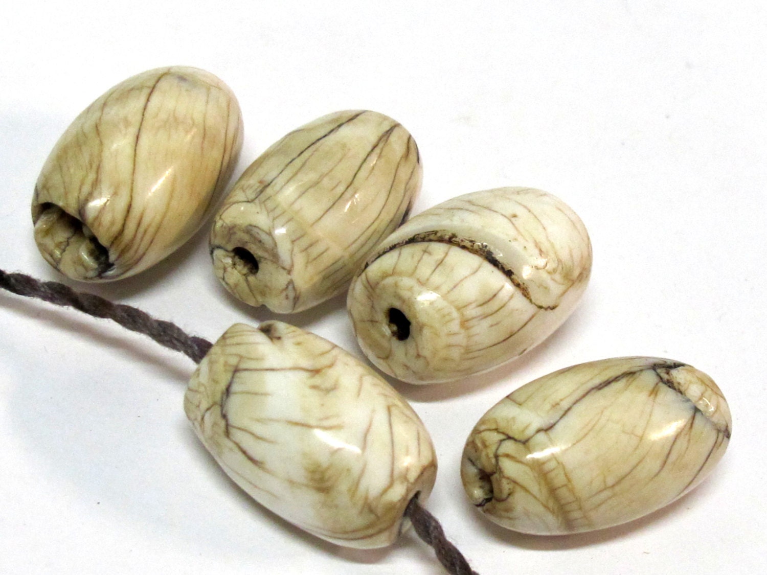 1 Bead - Large size Tibetan naga conch shell beads - CH067