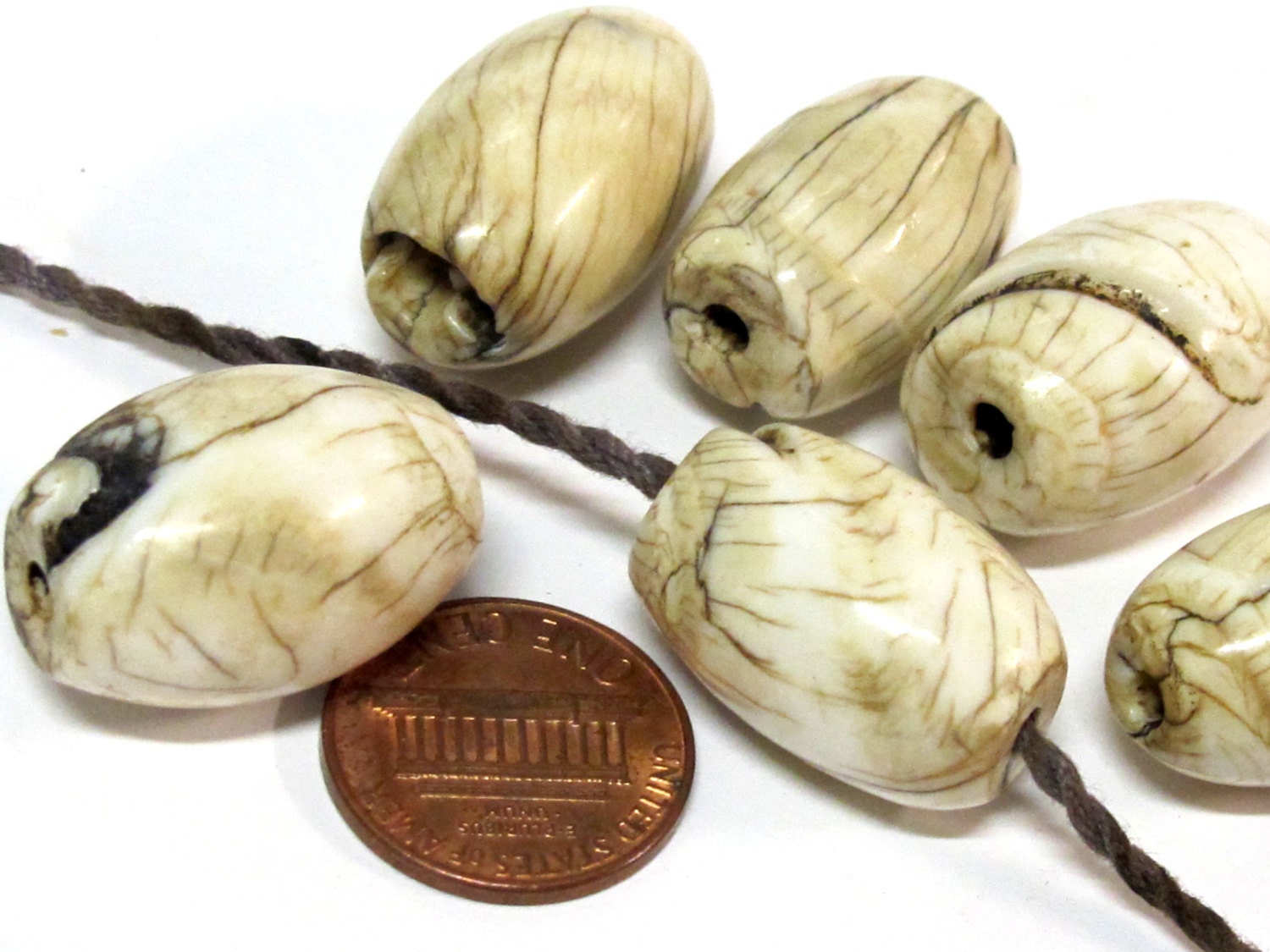 1 Bead - Large size Tibetan naga conch shell beads - CH067