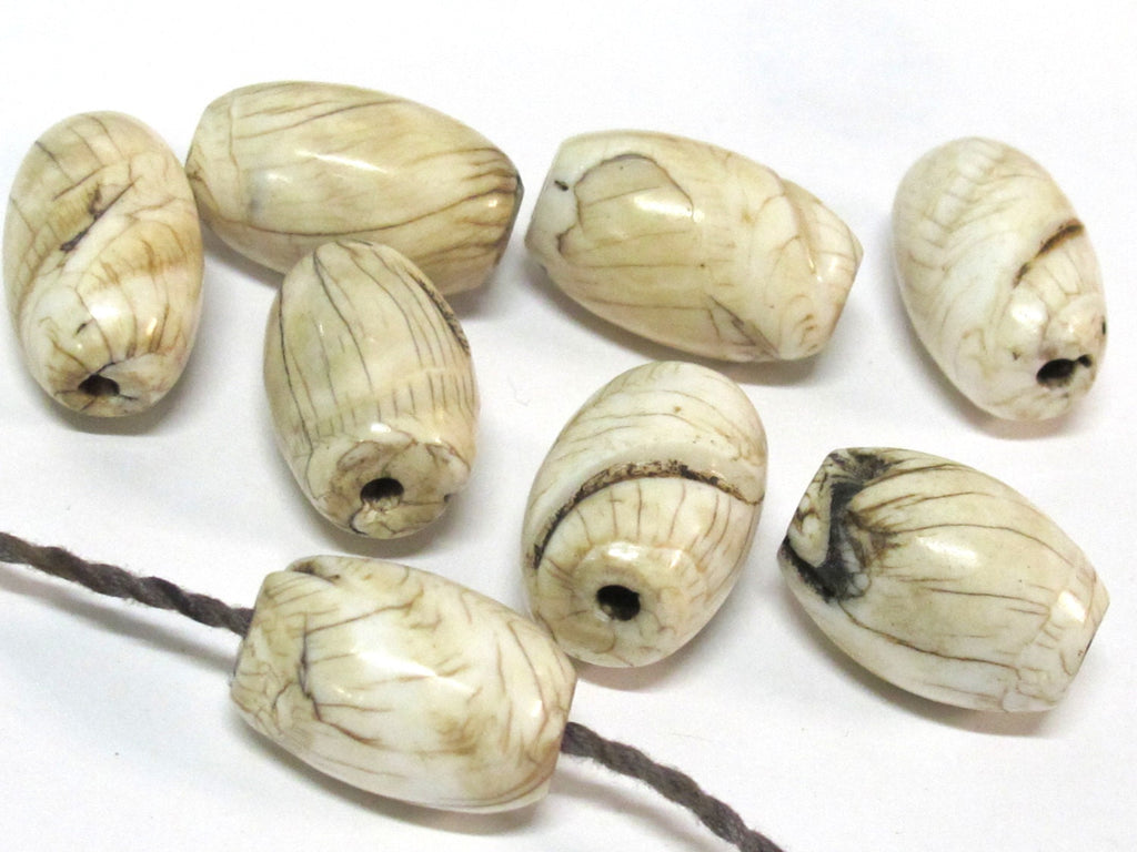 1 Bead - Large size Tibetan naga conch shell beads - CH067