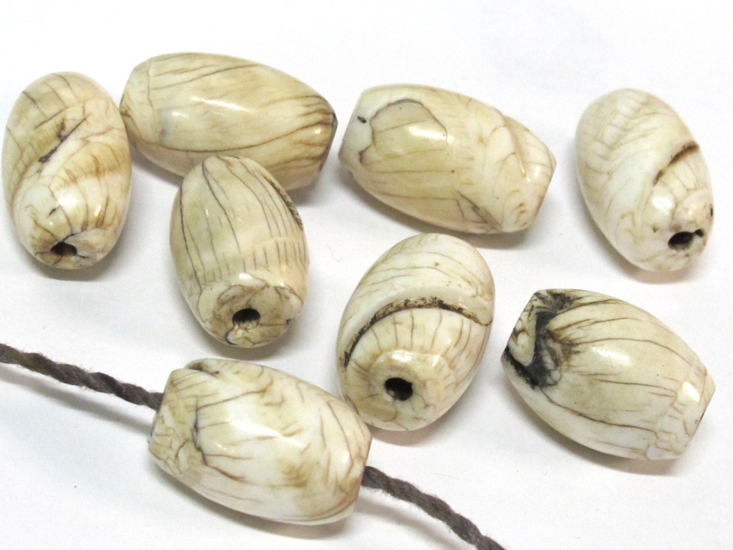 1 Bead - Large size Tibetan naga conch shell beads - CH067