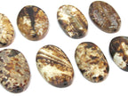 4 beads - Fossil agate flat large oval flat disc shape beads - GM427