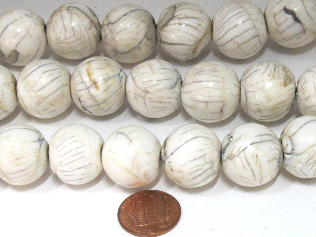 1 Bead - Large size Ethnic tibetan Nepal natural naga conch shell chank beads - CH070