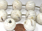 1 Bead - Large size Ethnic tibetan Nepal natural naga conch shell chank beads - CH070