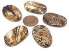 4 beads - Fossil agate flat large oval flat disc shape beads - GM427