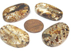 4 beads - Fossil agate flat large oval flat disc shape beads - GM427