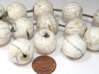 1 Bead - Large size Ethnic tibetan Nepal natural naga conch shell chank beads - CH070