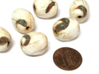 1 Bead - Ethnic Tibetan naga conch shell olive barrel shape beads with inlay - CH017A
