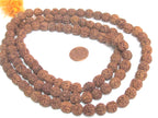 Rudraksha beads -108 beads-Natural Rudraksha seed beads from Nepal 9 - 10 mm - tibetan mala supplies Nepal rudraksha beads ML072A