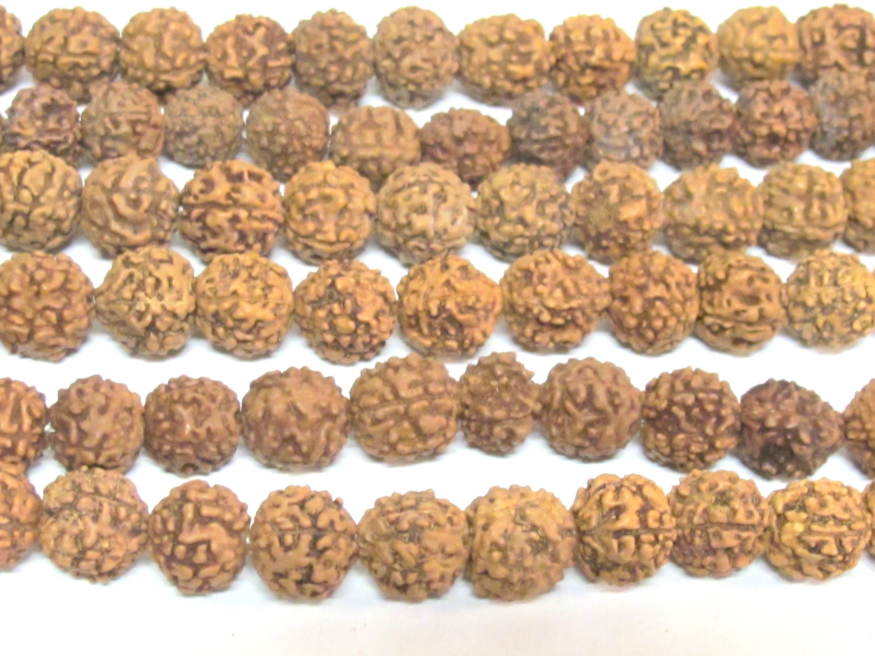 Rudraksha beads -108 beads-Natural Rudraksha seed beads from Nepal 9 - 10 mm - tibetan mala supplies Nepal rudraksha beads ML072A