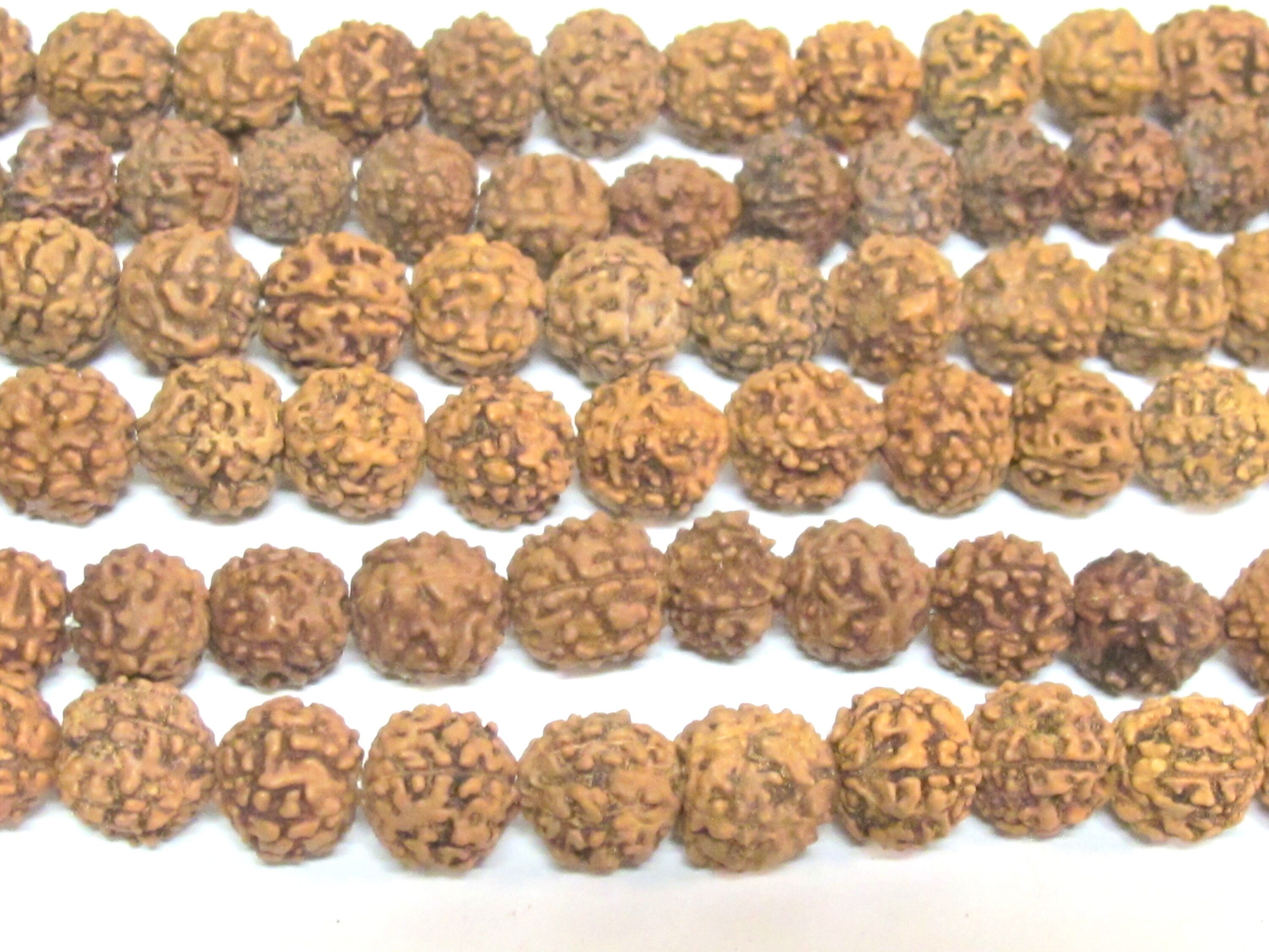 50 beads supplies - Natural Rudraksha seed beads from Nepal 9-10mm -tibetan mala supplies ML072C
