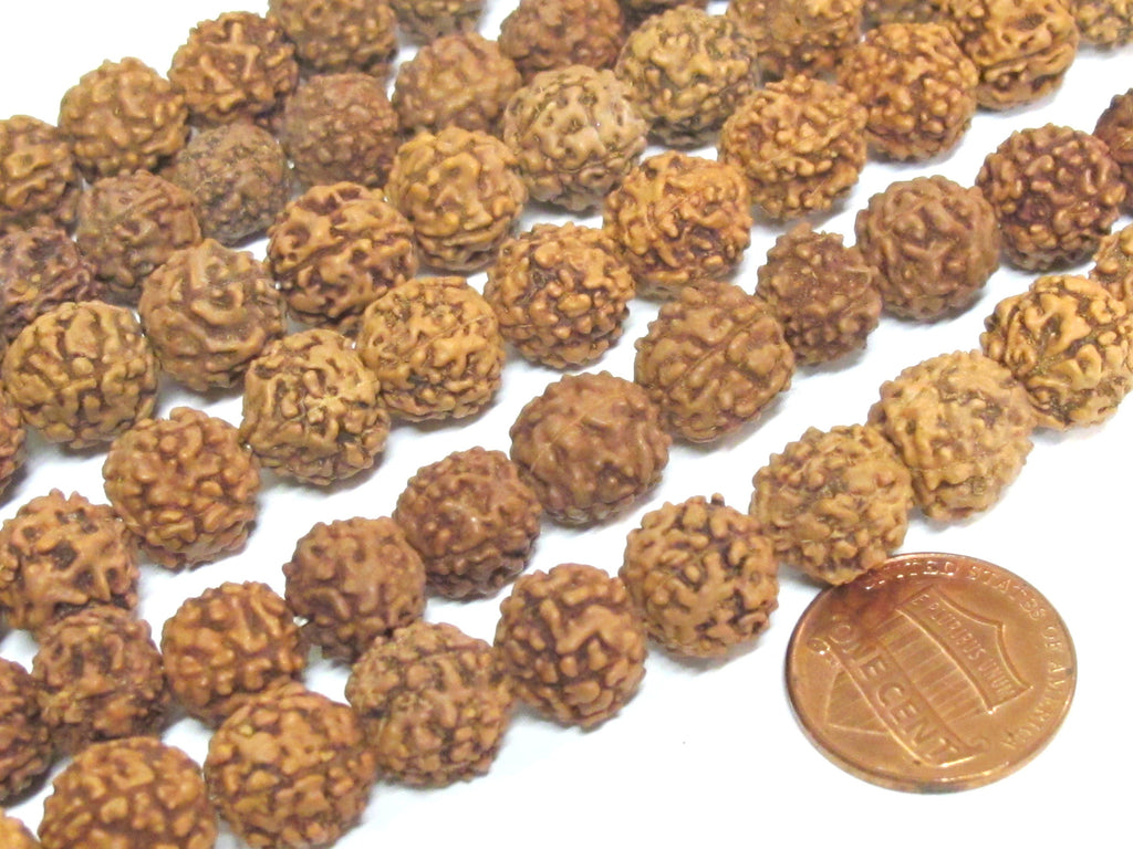 Rudraksha beads -108 beads-Natural Rudraksha seed beads from Nepal 9 - 10 mm - tibetan mala supplies Nepal rudraksha beads ML072A