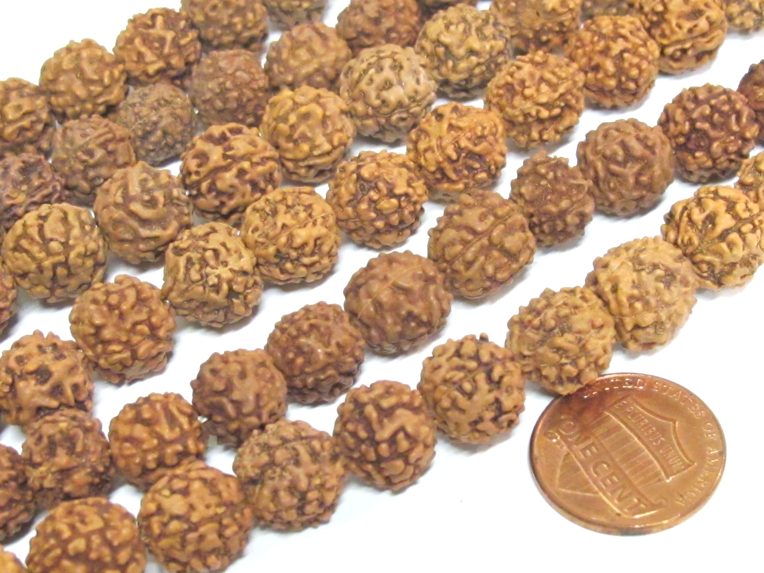 Rudraksha beads -108 beads-Natural Rudraksha seed beads from Nepal 9 - 10 mm - tibetan mala supplies Nepal rudraksha beads ML072A