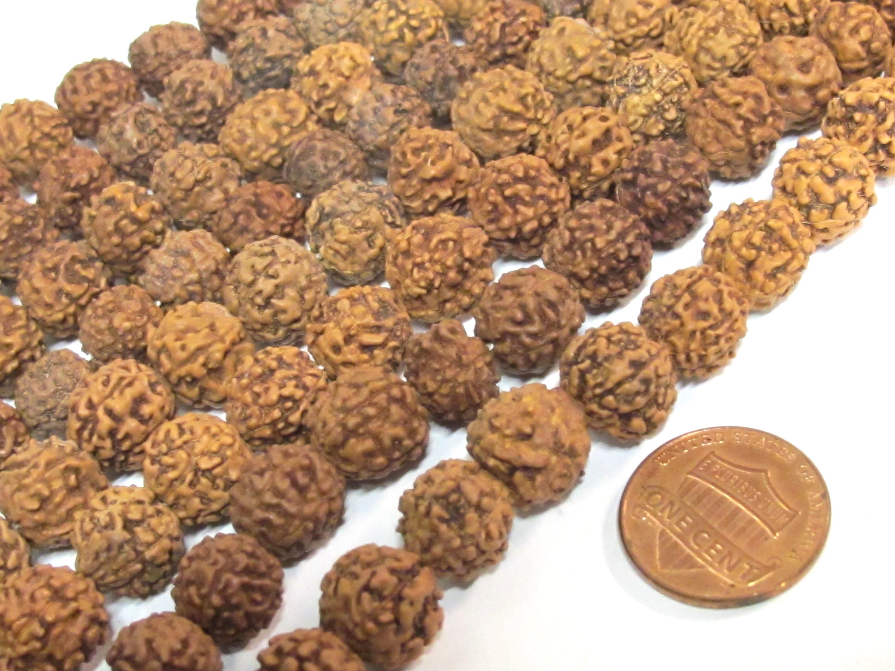 10 rudraksha beads - Natural Rudraksha seed beads from Nepal 9-10 mm -tibetan mala supplies ML072B