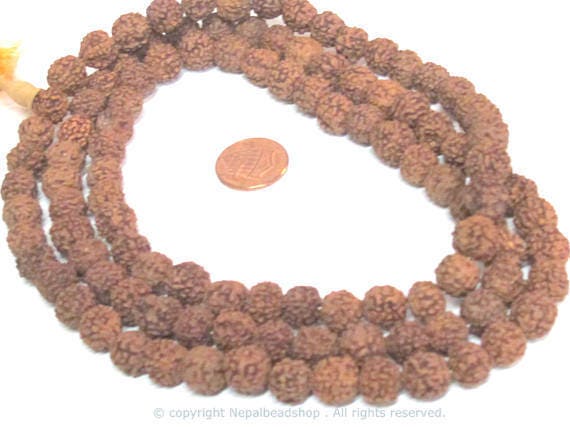 Rudraksha beads -108 beads-Natural Rudraksha seed beads from Nepal 9 - 10 mm - tibetan mala supplies Nepal rudraksha beads ML072A