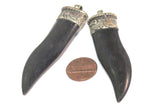 1 Pendant -Ethnic tribal Long tibetan silver capped black tooth chilli shape horn pendant - PM591