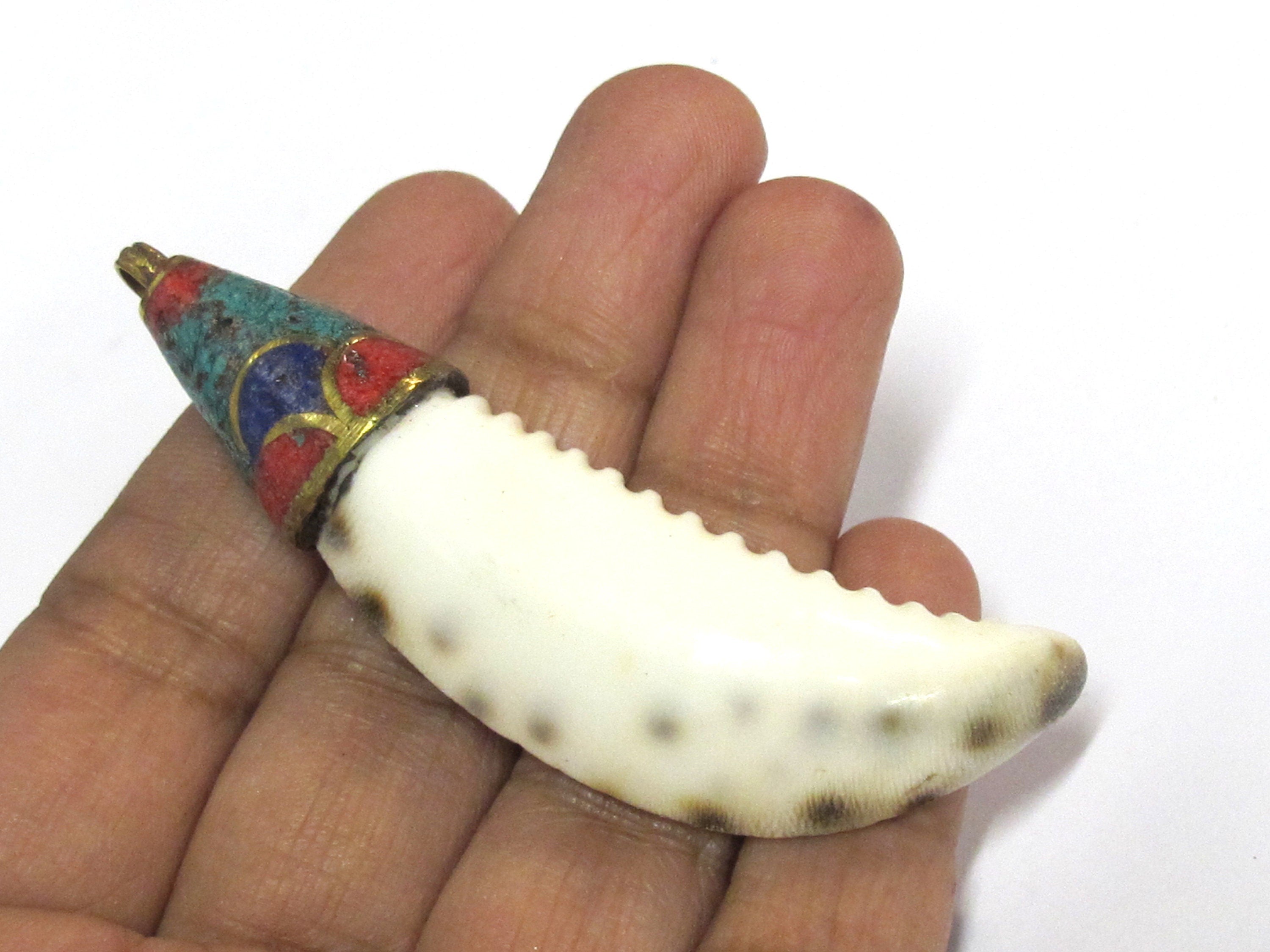 1 Pendant - Large long big size Tibetan capped cowrie shell tooth shape tribal pendant with turquoise inlay - 1 pendant - SP013B