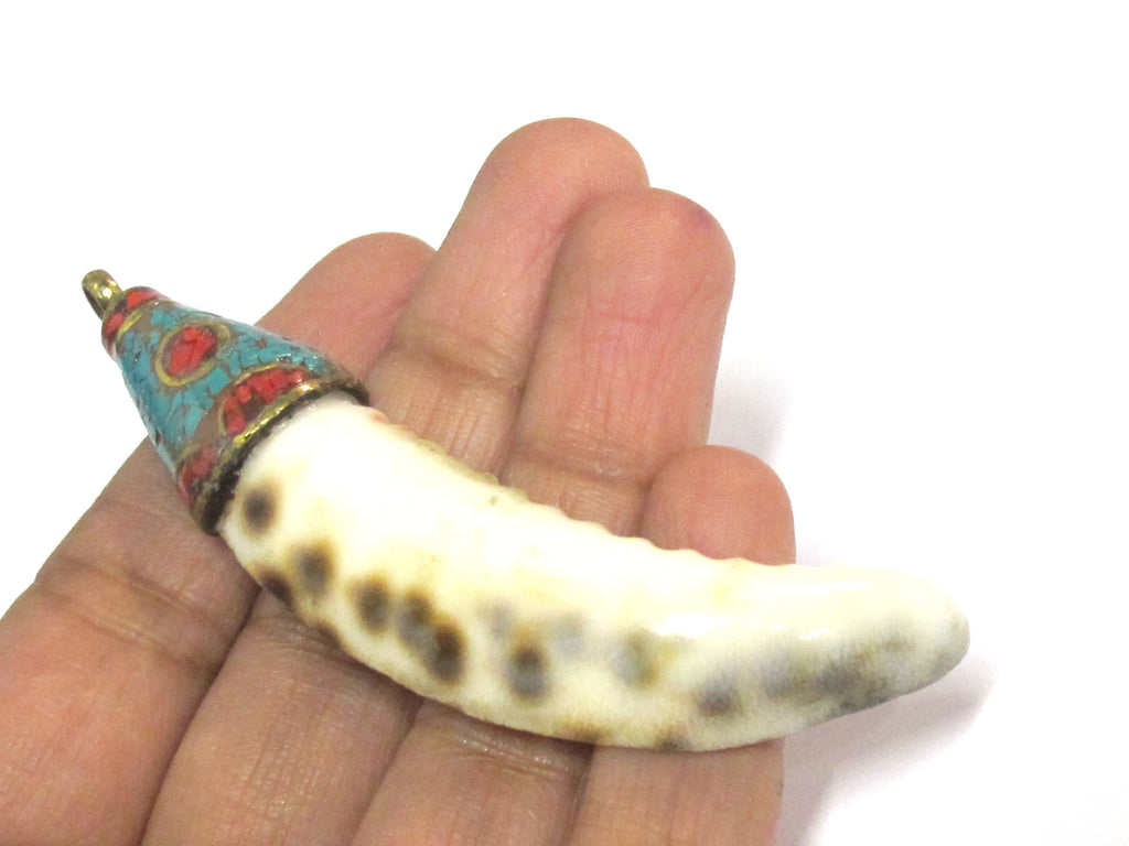 1 Pendant - Large long big size Tibetan capped cowrie shell tooth shape tribal pendant with turquoise inlay - 1 pendant - SP013B