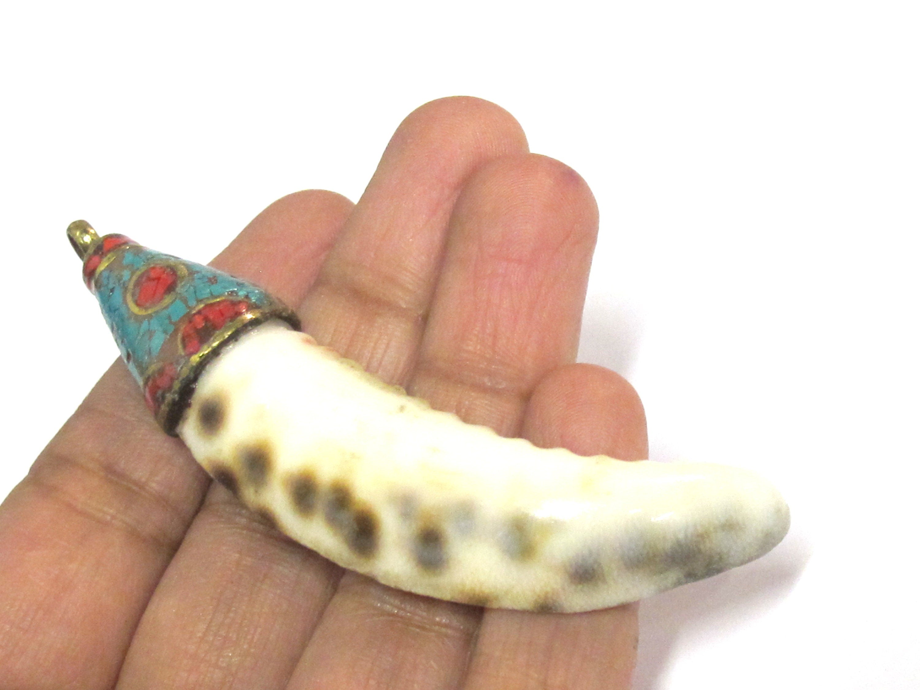 1 Pendant - Large long big size Tibetan capped cowrie shell tooth shape tribal pendant with turquoise inlay - 1 pendant - SP013B
