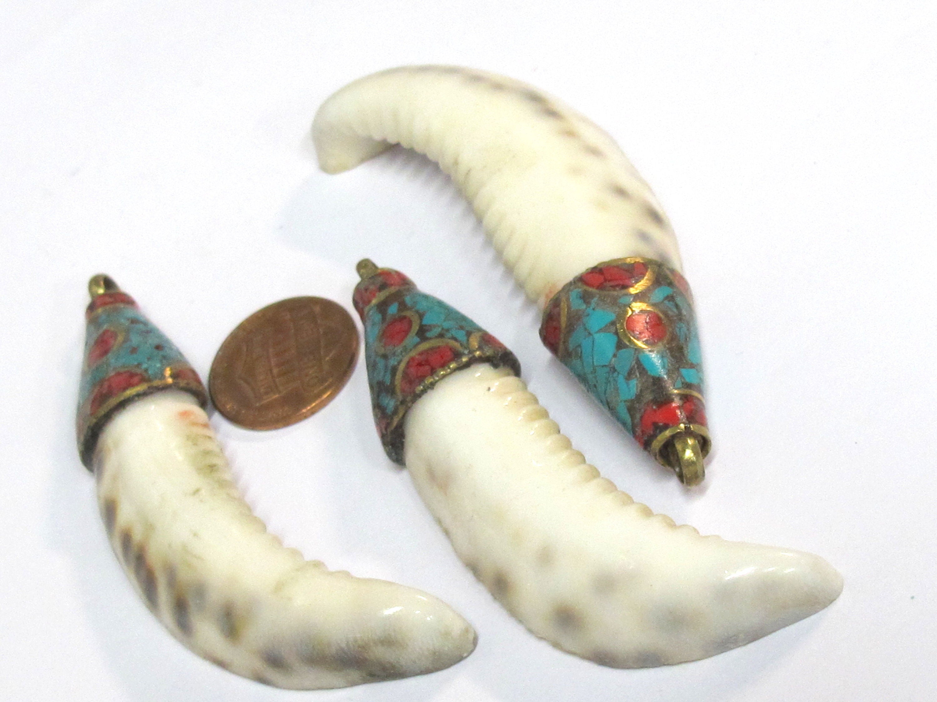 1 Pendant - Large long big size Tibetan capped cowrie shell tooth shape tribal pendant with turquoise inlay - 1 pendant - SP013B