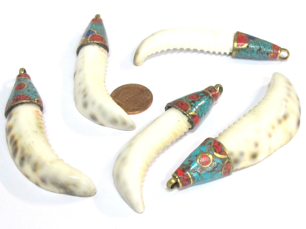 1 Pendant - Large long big size Tibetan capped cowrie shell tooth shape tribal pendant with turquoise inlay - 1 pendant - SP013B