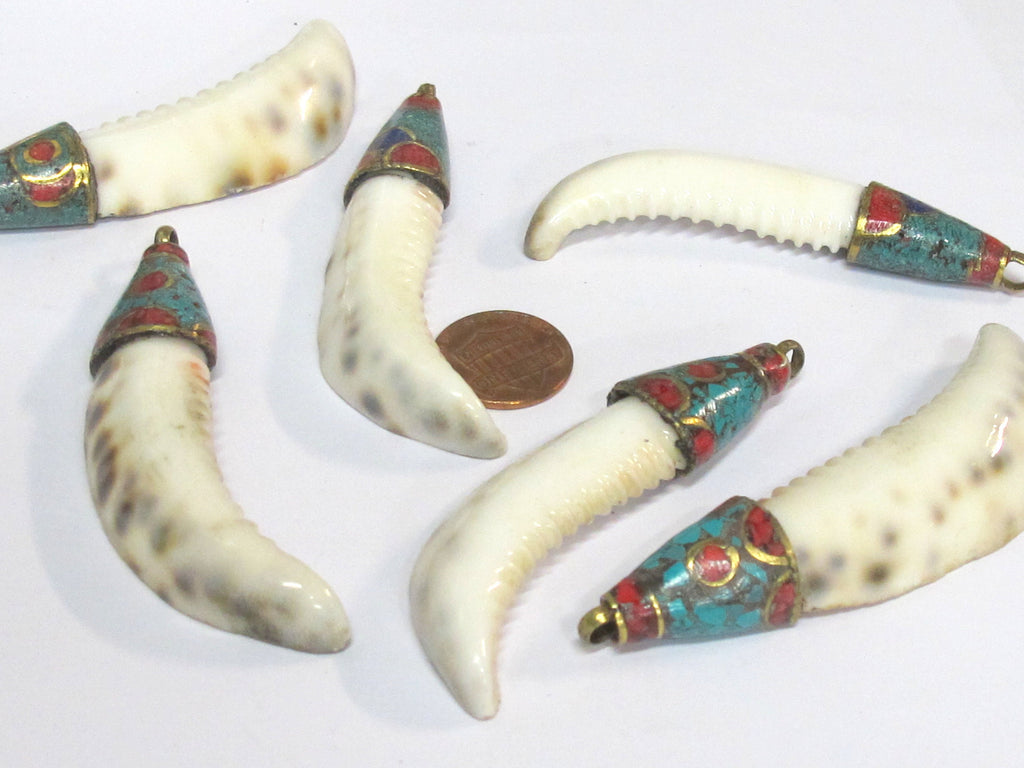 1 Pendant - Large long big size Tibetan capped cowrie shell tooth shape tribal pendant with turquoise inlay - 1 pendant - SP013B