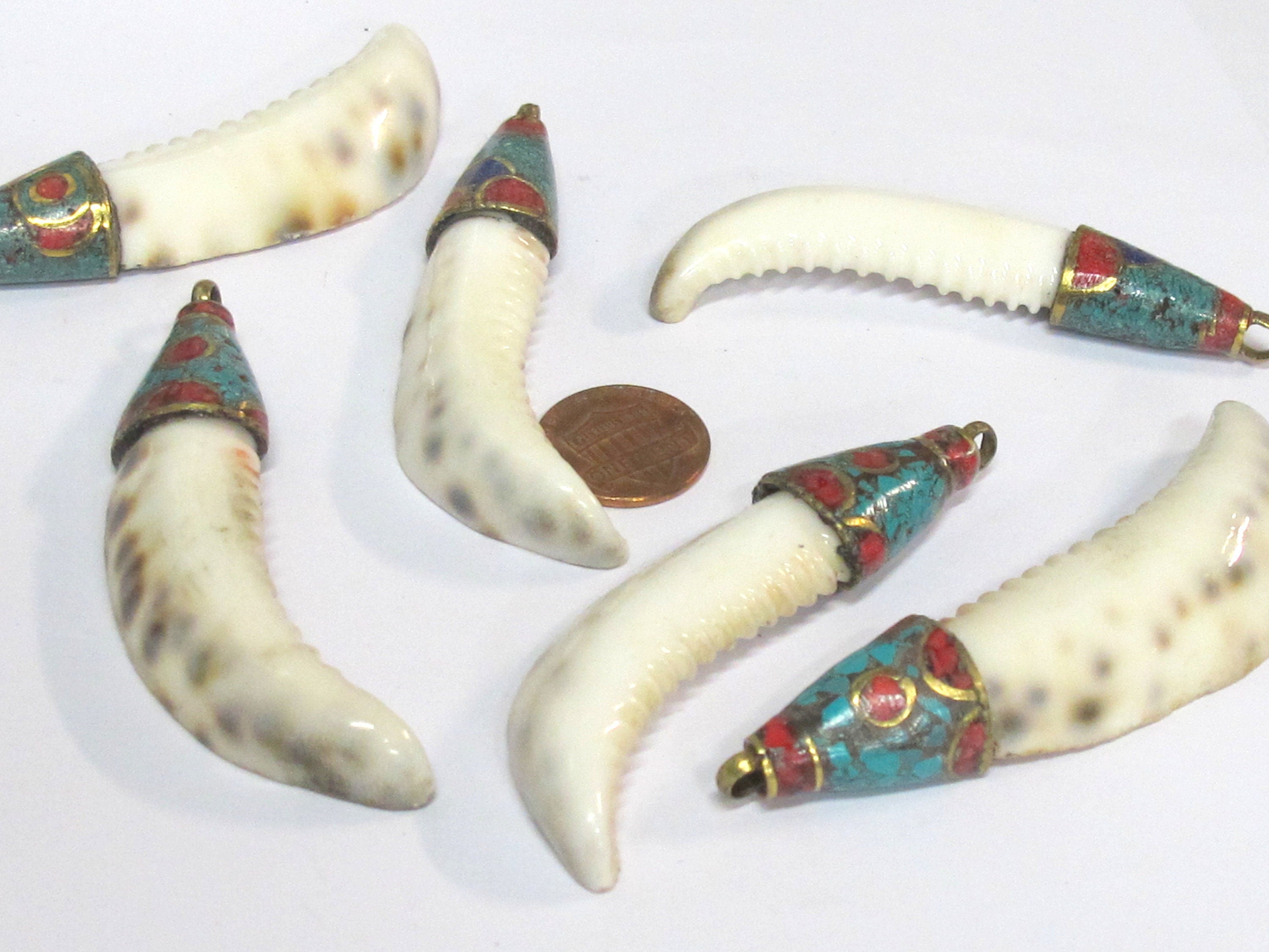 1 Pendant - Large long big size Tibetan capped cowrie shell tooth shape tribal pendant with turquoise inlay - 1 pendant - SP013B