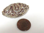 1 Bead - Large Reversible Tibetan silver color finish filigree snake design focal pendant bead - BD395K