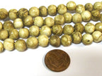 10 Beads - Small Ethnic nepal natural conch shell beads -- CH009D