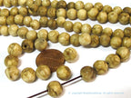 10 Beads - Small Ethnic nepal natural conch shell beads -- CH009D