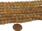20 beads rudraksha mala beads supplies - Natural Rudraksha seed beads from Nepal 8 -9 mm -tibetan mala supplies ML122A