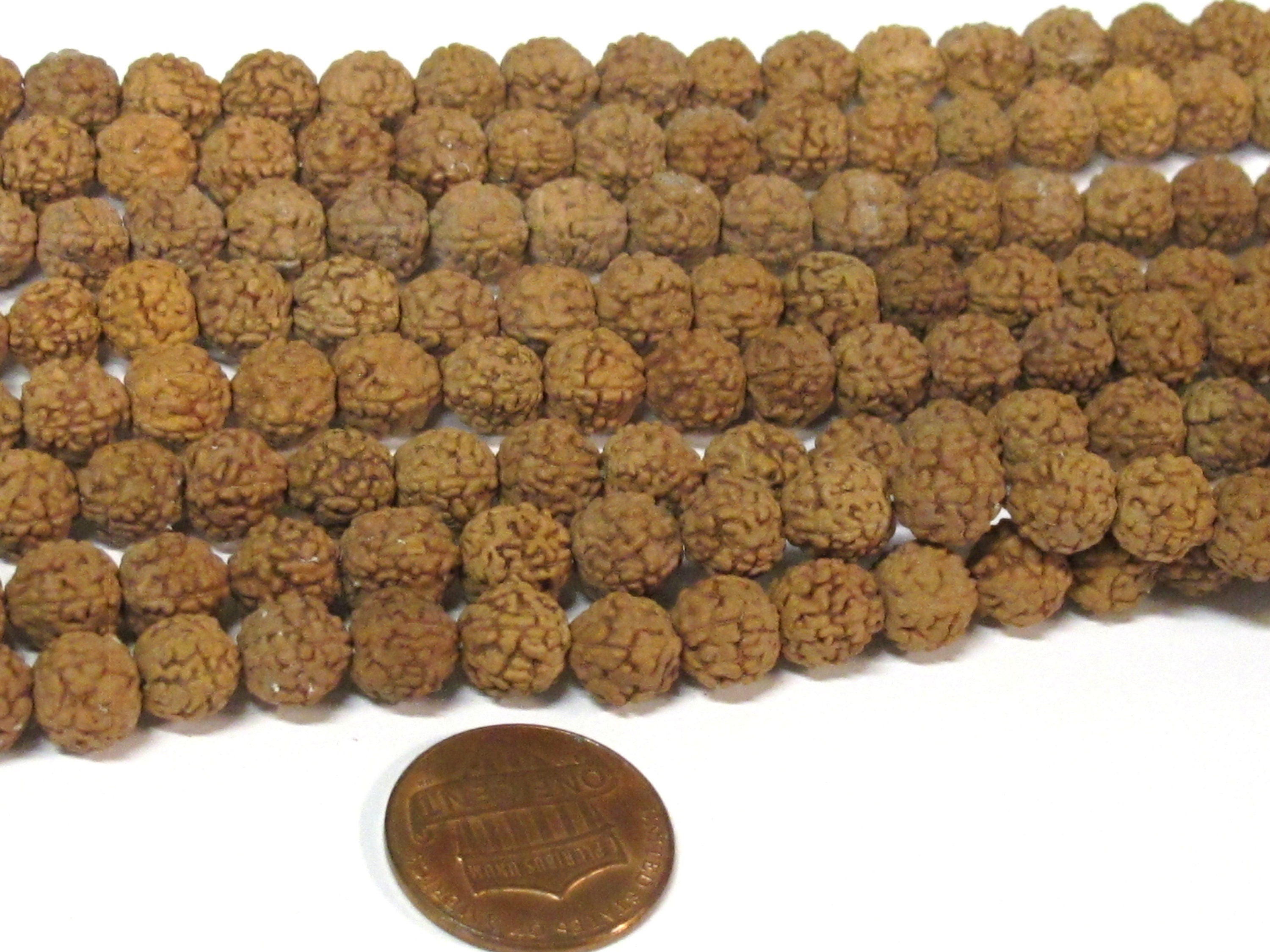 20 beads rudraksha mala beads supplies - Natural Rudraksha seed beads from Nepal 8 -9 mm -tibetan mala supplies ML122A